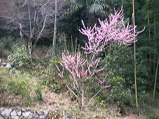dsc00007