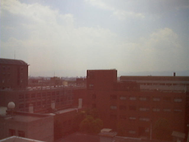 dsc00008