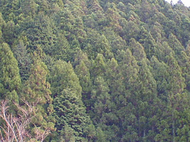 dsc00198