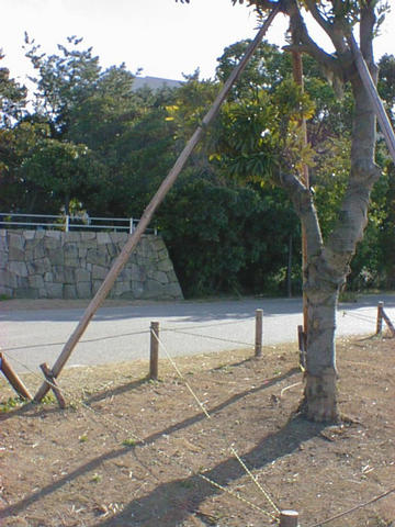 dsc00044