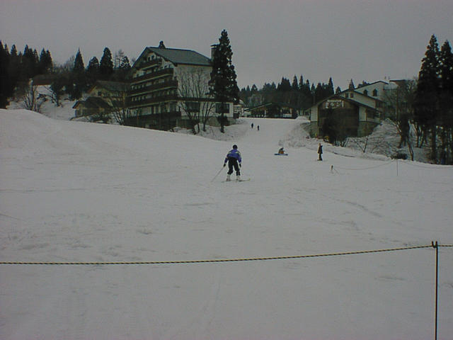 dsc20029
