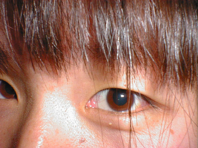 dsc00037