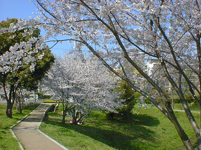 dsc00007