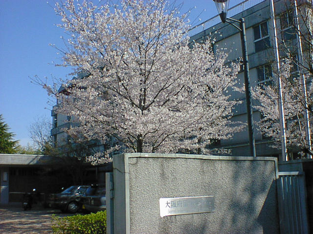 dsc00015