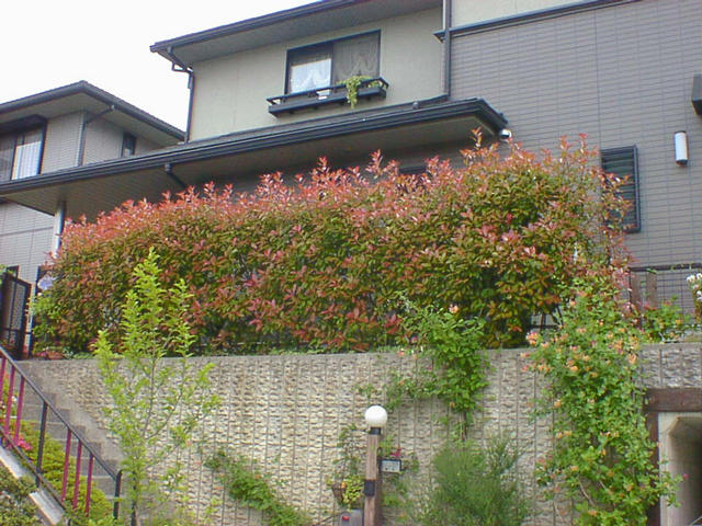 dsc00005