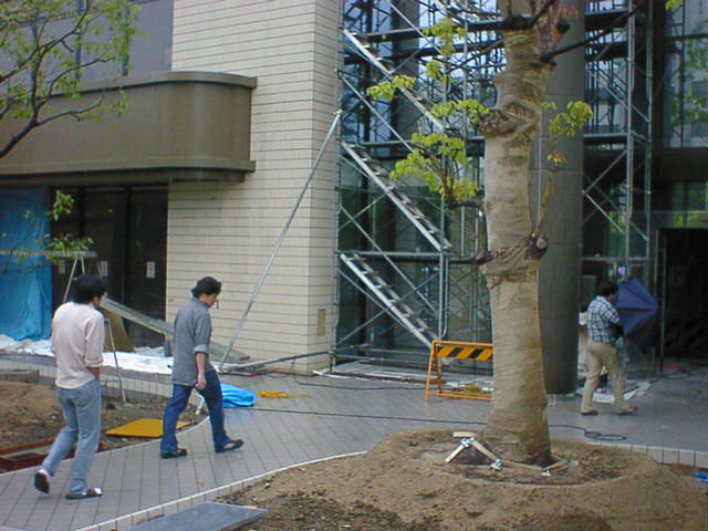 dsc20003