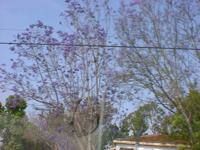 dsc00034