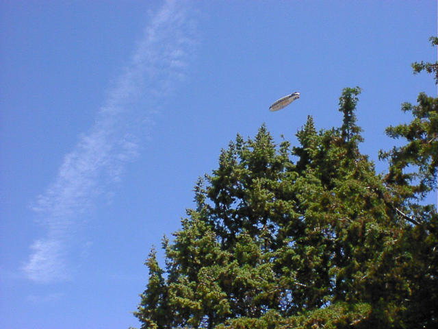 dsc00011