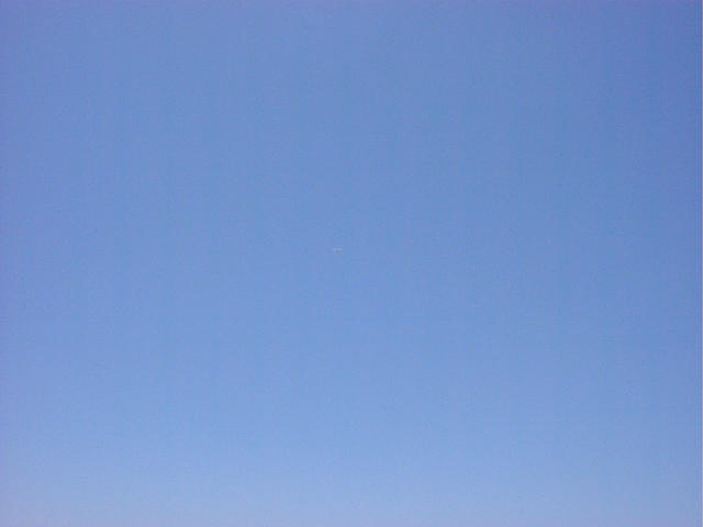 dsc00010