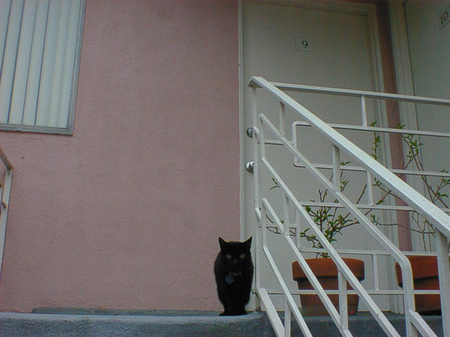 dsc00003