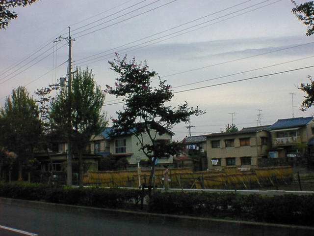 dsc00052