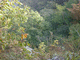 dsc00022