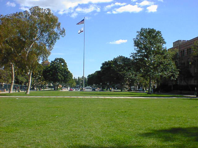 dsc00028