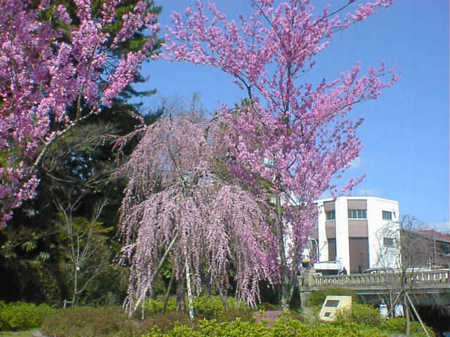 dsc00018