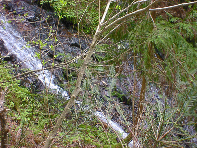 dsc00052
