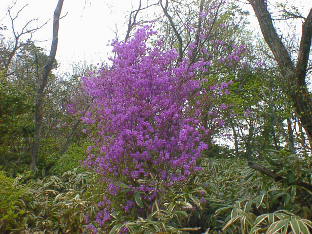 dsc00073