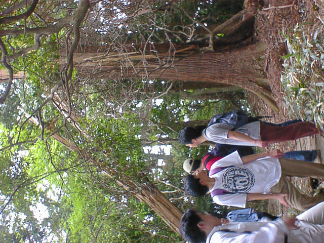 dsc00099