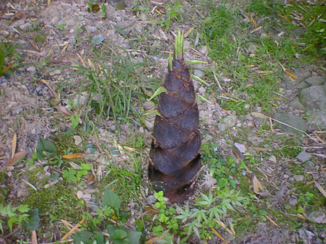 dsc10022