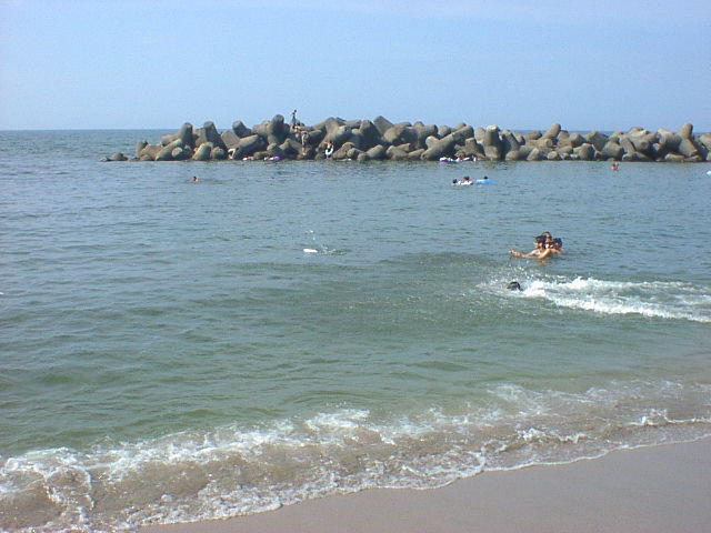 seq01011