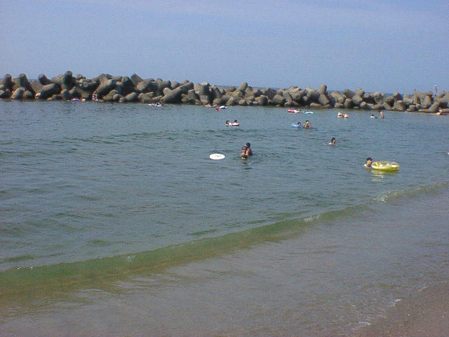 seq02002