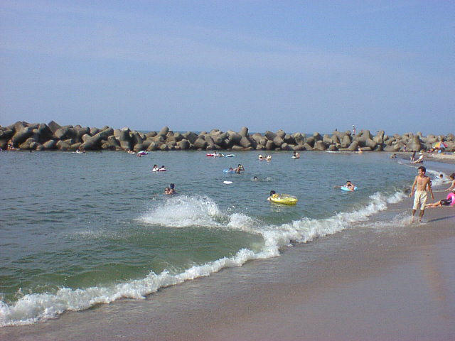 seq02008