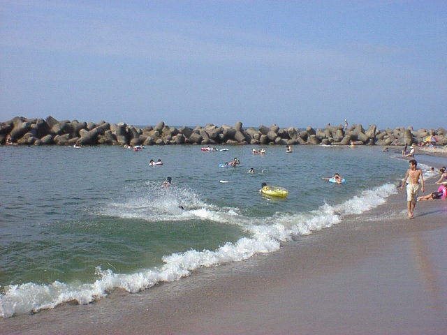 seq02009