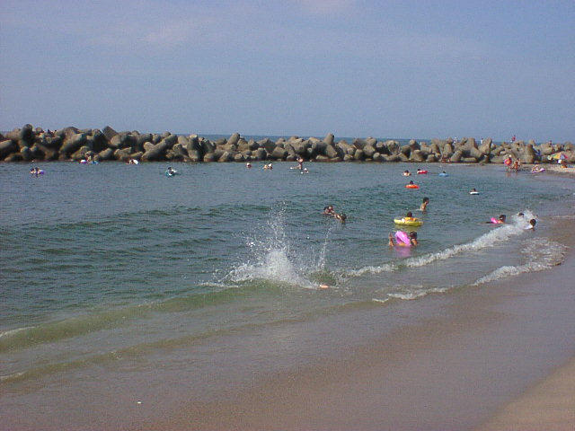 seq09008