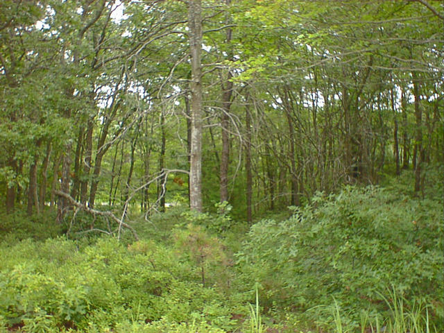 dsc00014