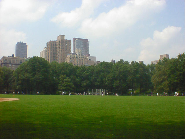 dsc00016