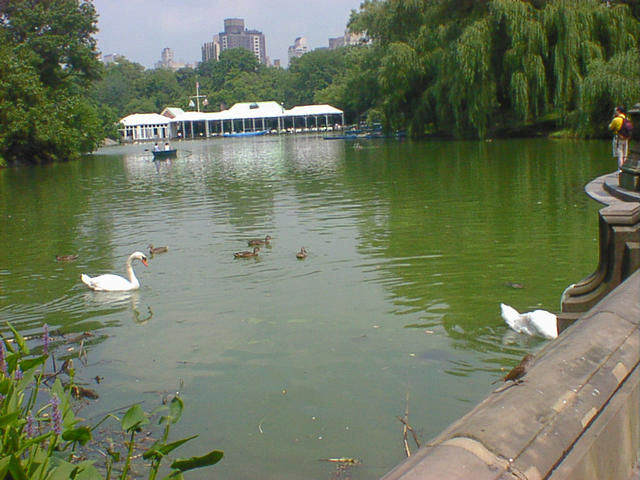 dsc00025