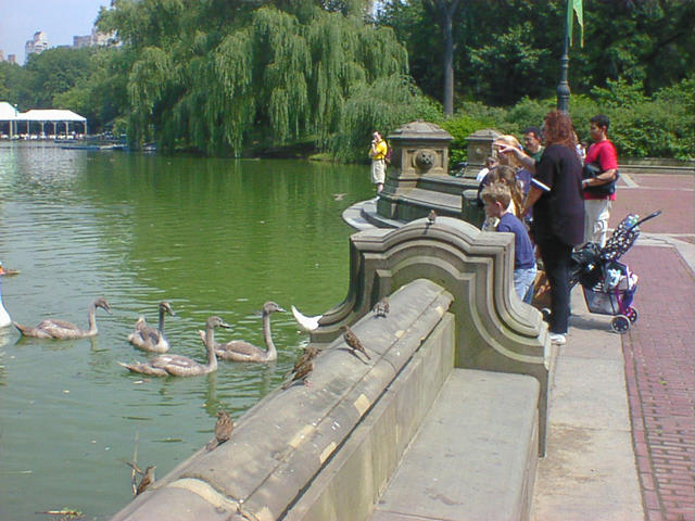 dsc00026