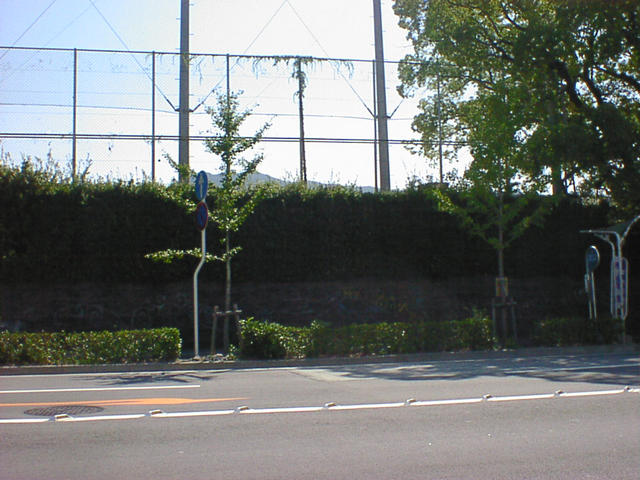 dsc00064