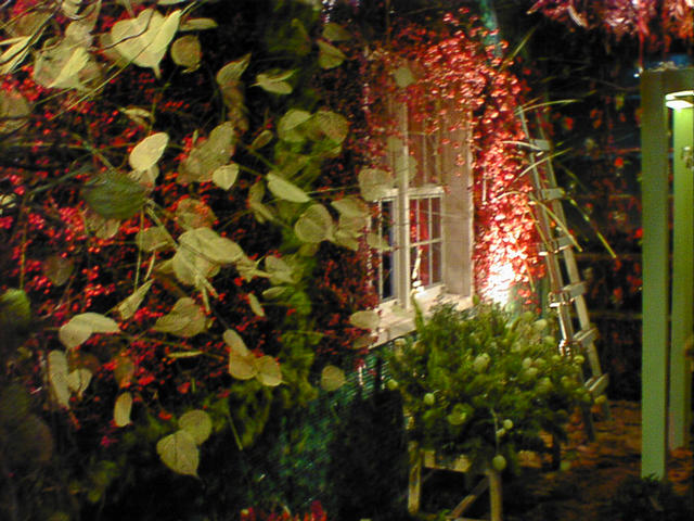dsc00051