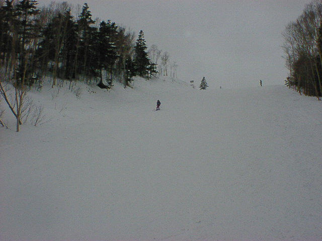seq05018