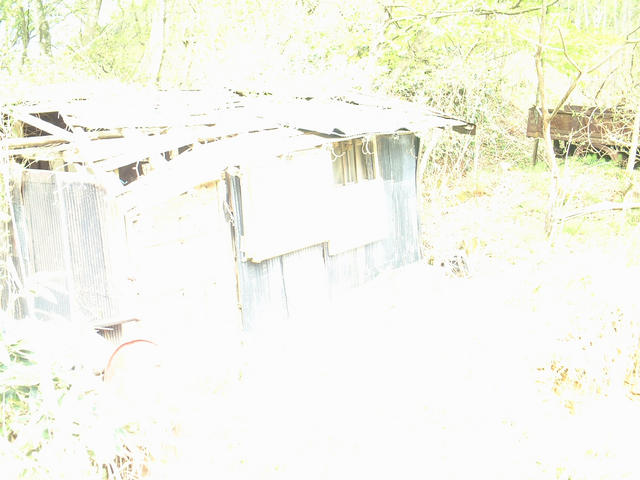 dscf0388