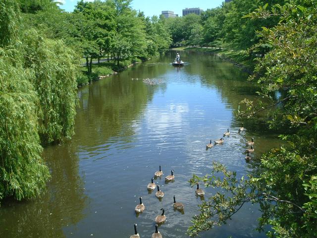 dscf0663
