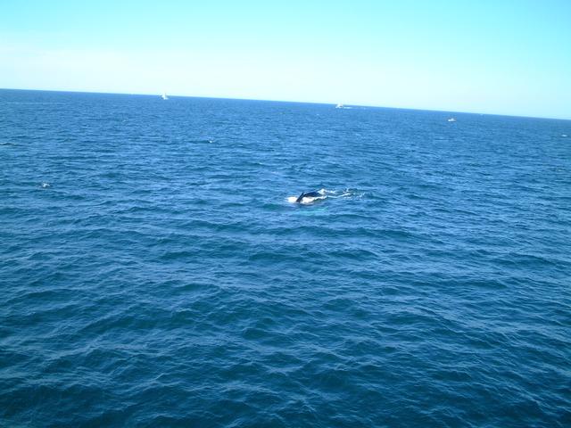 dscf1689