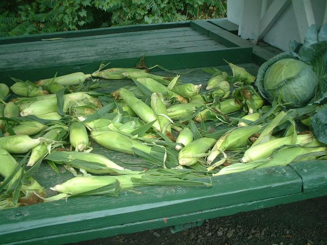 dscf2841