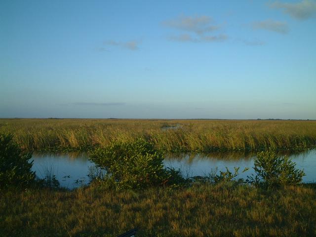 dscf6375