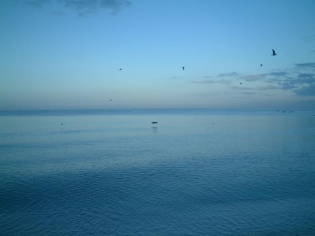 dscf6414