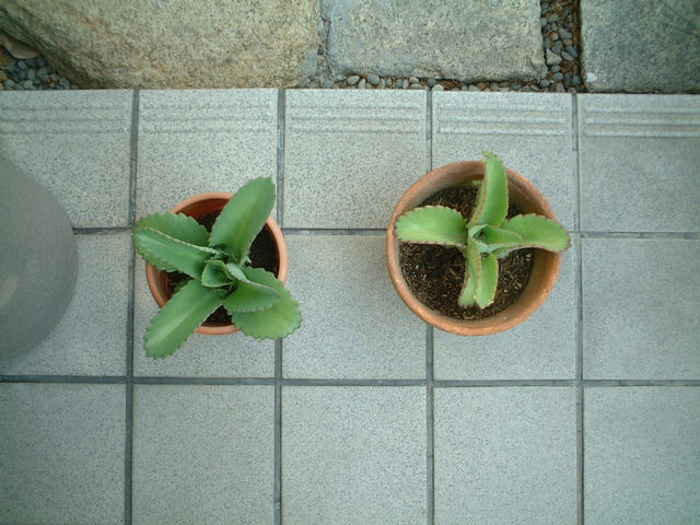 dscf4903
