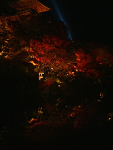 dscf5661
