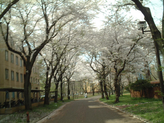 dscf9364