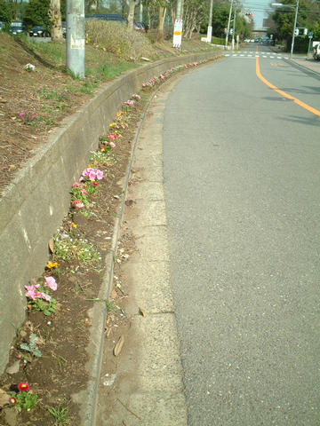 dscf9475