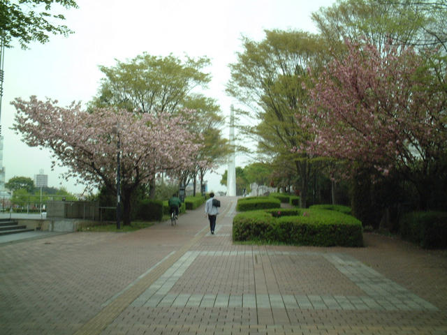 dscf9623