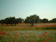 dscf0406
