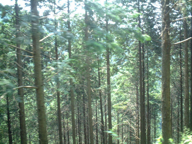dscf3825