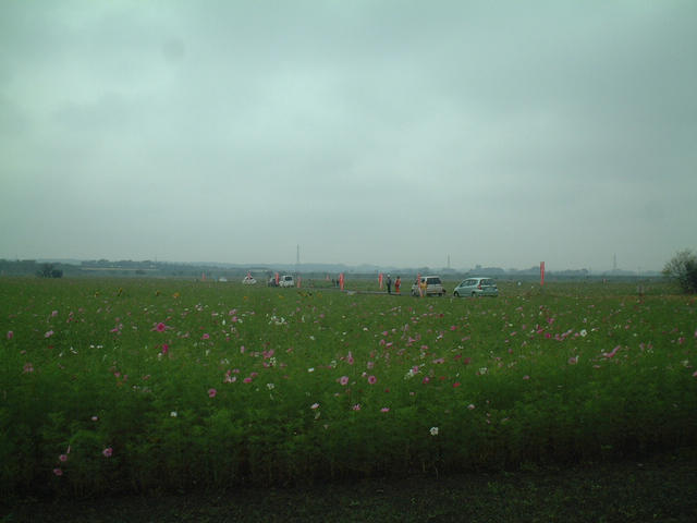 dscf5928