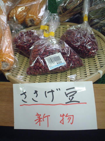 dscf5948