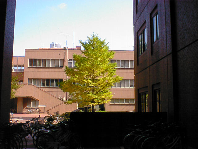 20031026_103242-00-dsc-x100